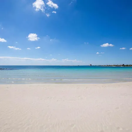 Absolute Appartement